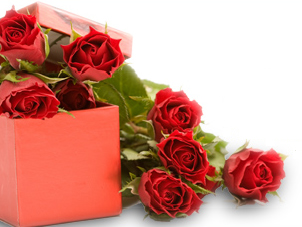florist joondalup